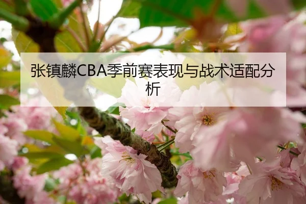 张镇麟CBA季前赛表现与战术适配分析